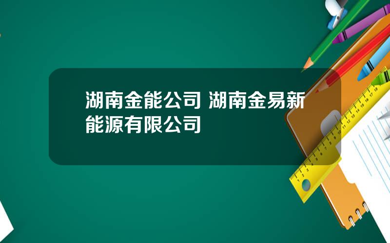 湖南金能公司 湖南金易新能源有限公司